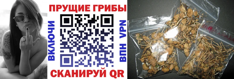 Галлюциногенные грибы ЛСД  Оха 